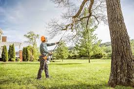 Best Lawn Pest Prevention  in Kootenai, ID