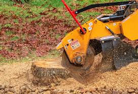Best Emergency Tree Removal  in Kootenai, ID